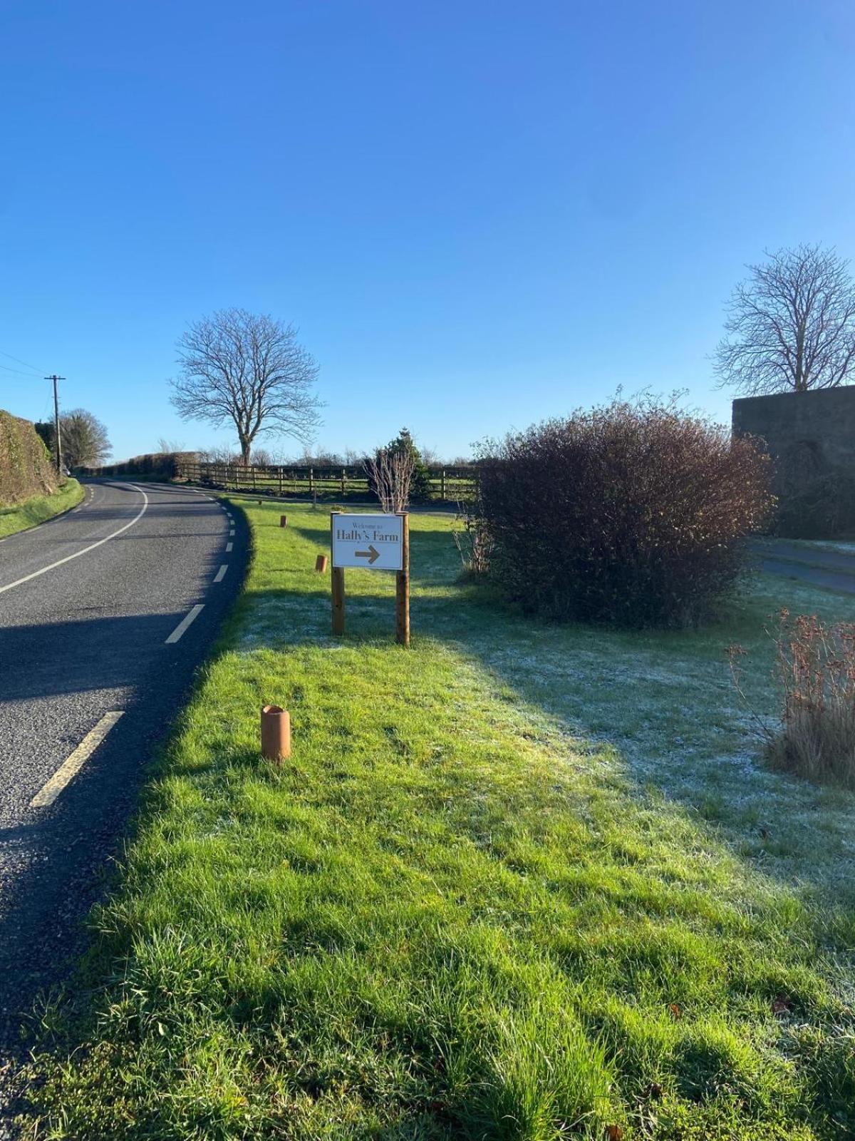Hally'S Farm Kilkenny Exteriér fotografie